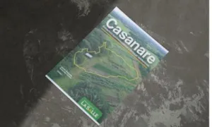 Casanare: estructura socioeconómica y lecturas territoriales