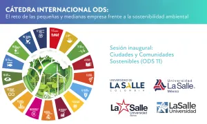 Cátedra Internacional ODS