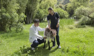 Utopía: Un proyecto para todos