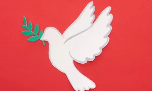 ¿Qué representa el Informe de la Comisión de la Verdad?