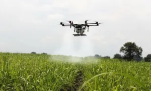 Comportamiento sector agropecuario