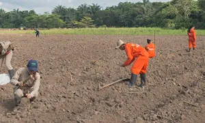 Unisalle ocupa primer puesto en Convocatoria del Ministerio de Educación