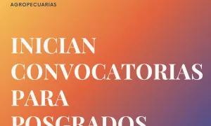 Inician convocatorias para posgrados