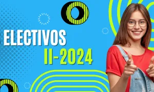 Cursos Electivos II-2024