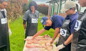 CIC Santa María del Puyón