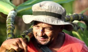 Desarrollo agrícola y reforma rural