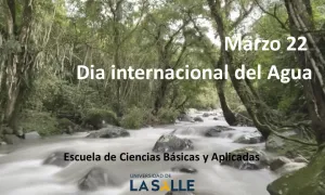 Día Internacional del agua