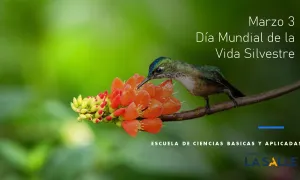 Dia mundial de la vida silvestre