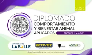 Finalizamos con éxito el Diplomado en Comportamiento y Bienestar Animal Aplicados