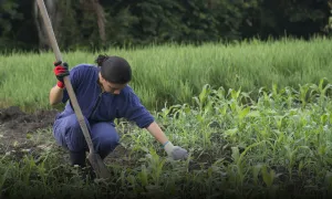 Docente Lasallista dedica su vida a enseñar sobre economía solidaria
