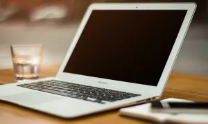 Servicios de empleabilidad