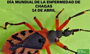 Dia Internacional de la enfermedad de Chagas