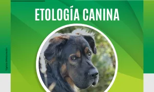 Curso etología canina