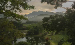 Galería Fotográfica