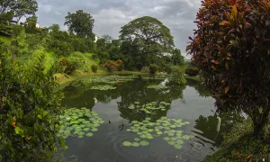 Galería Fotográfica