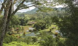 Galería Fotográfica