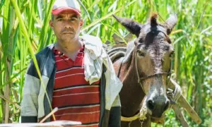 Gestión del riesgo y ordenamiento territorial rural