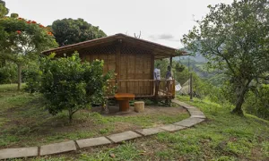 Glamping