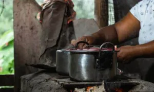 Globalización, transición demográfica y soberanía alimentaria