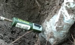 Egresada lasallista recibe beca en el Instituto Ambiental de Delaware 