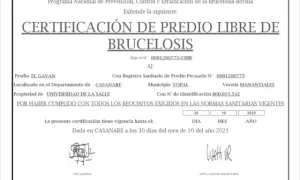 Certificaciones