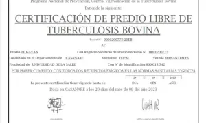 Certificaciones