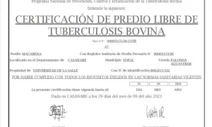 Certificaciones