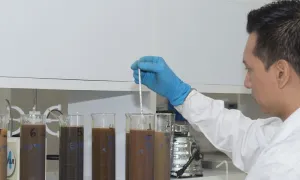 Líneas de Investigación
