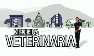 El programa de Medicina Veterinaria está contigo y en comunicación permanente
