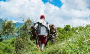 Modo de vida campesino y desarrollo rural