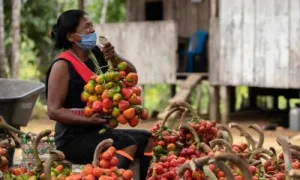Mujer rural