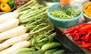 “La industria de alimentos debe tener negocios sustentables”