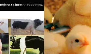 Nueva patente para la Escuela de Ciencias Básicas y Aplicadas