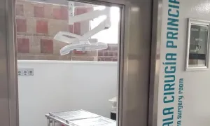 Clínica de pequeños animales