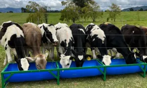 CIC Santa María del Puyón