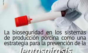 Aporte de BIOMIGEN a la cadena productiva porcina