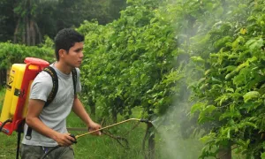 Proyectos de Investigación