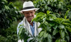 ¿Qué esperar para el agro?
