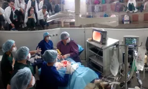 Conoce cómo es un día en el quirófano de la Clínica Veterinaria de la Universidad de La Salle