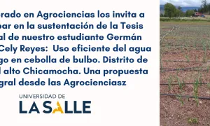 Doctorado y Maestría en Agrociencias (Uso eficiente del agua para riego en cebolla de bulbo)
