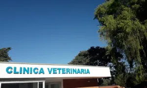 Preguntas Frecuentes