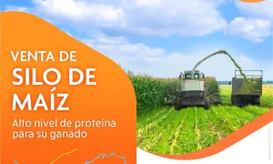 Venta de Silo de Maiz