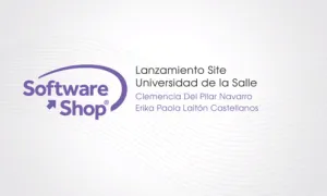 Lanzamiento Stata versión 16
