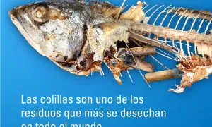 31 de mayo: Día Mundial Sin Tabaco