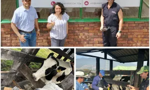 Estrategia De Mitigación Del Impacto Por Pastoreo Con Tecnología Geoespacial