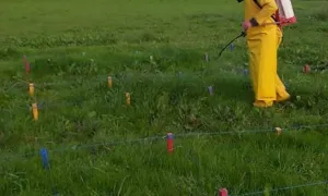 CIC Santa María del Puyón