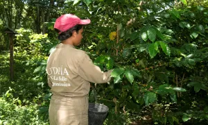 Jóvenes de Utopía continúan aportando al progreso de sus regiones
