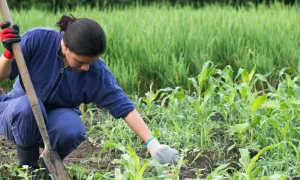 El sector rural es nuestra prioridad