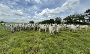 Portafolio de productos