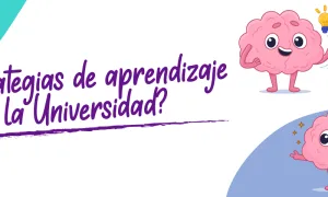 ¿Qué estrategias de aprendizaje utilizas en la Universidad?